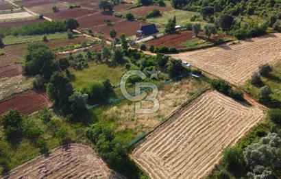 Çanakkale Lapseki Dışbudak Köyü 983 m² Yolu Olan Satılık Tarla