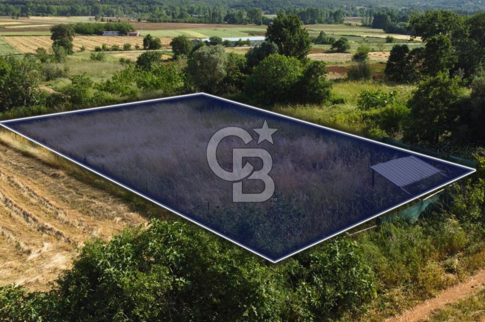 Çanakkale Lapseki Dışbudak Köyü 983 m² Yolu Olan Satılık Tarla