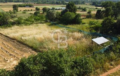Çanakkale Lapseki Dışbudak Köyü 983 m² Yolu Olan Satılık Tarla