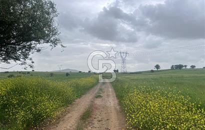 BALIKESİR KARESİ NAİPLİ'DE YOLA CEPHE, EMSALSİZ TARLA! 21.330 m2
