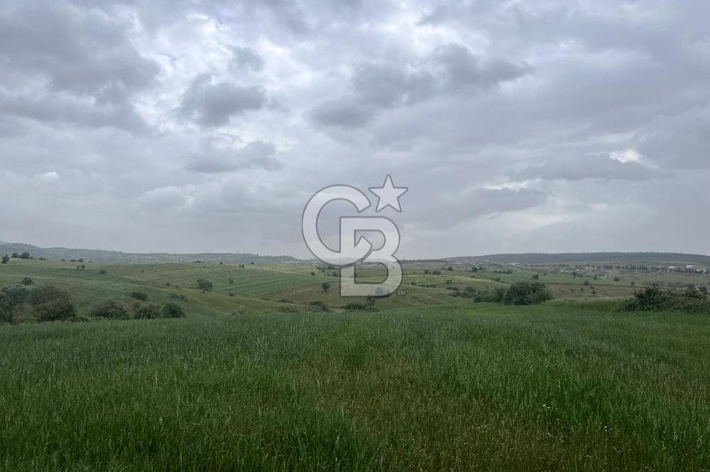 BALIKESİR KARESİ KALAYCILAR'DA SATILIK TARLA..! 11.609 m2