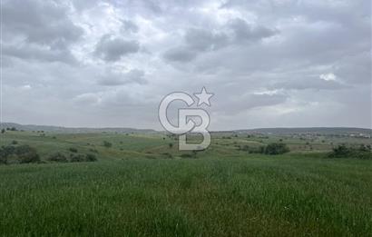 BALIKESİR KARESİ KALAYCILAR'DA SATILIK TARLA..! 11.609 m2