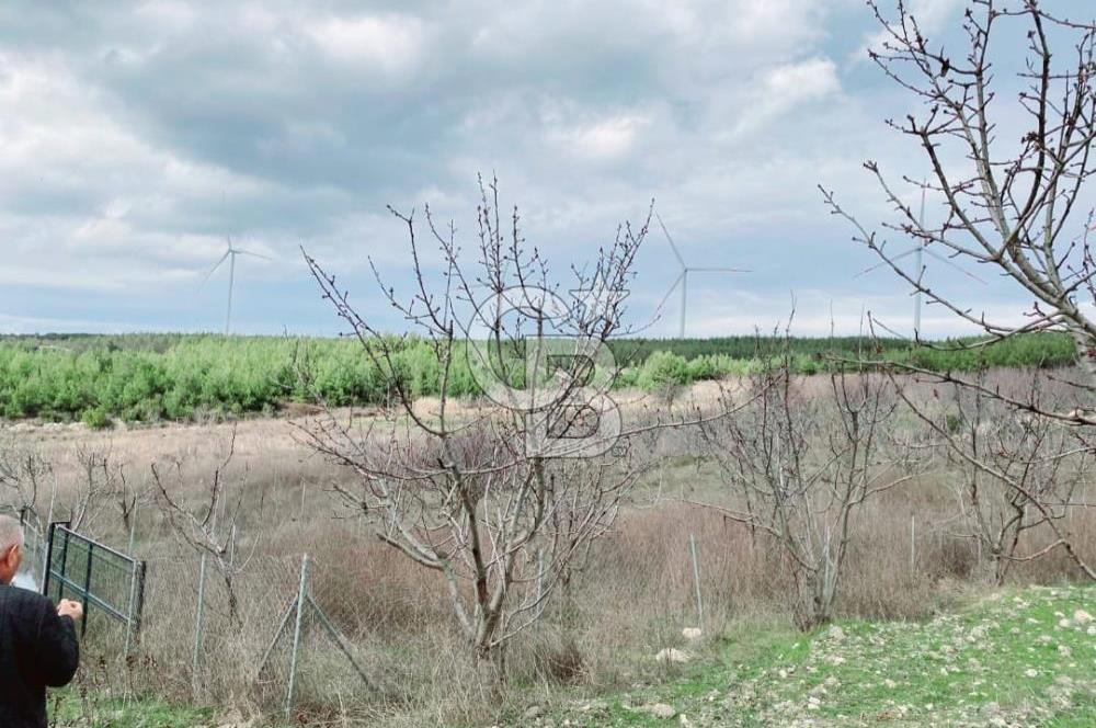 BORNOVA YAKAKÖY'DE ÇOK İYİ KONUMDA ARAZİ