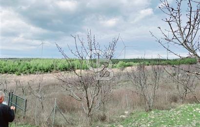 BORNOVA YAKAKÖY'DE ÇOK İYİ KONUMDA ARAZİ