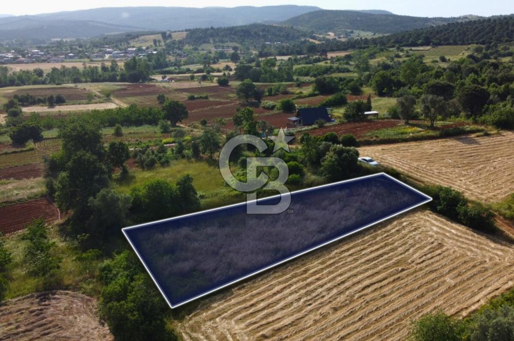 Çanakkale Lapseki Dışbudak Köyü 983 m² Yolu Olan Satılık Tarla