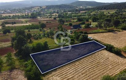 Çanakkale Lapseki Dışbudak Köyü 983 m² Yolu Olan Satılık Tarla