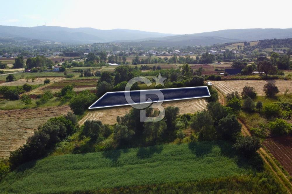 Çanakkale Lapseki Dışbudak Köyü 983 m² Yolu Olan Satılık Tarla