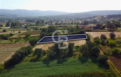 Çanakkale Lapseki Dışbudak Köyü 983 m² Yolu Olan Satılık Tarla