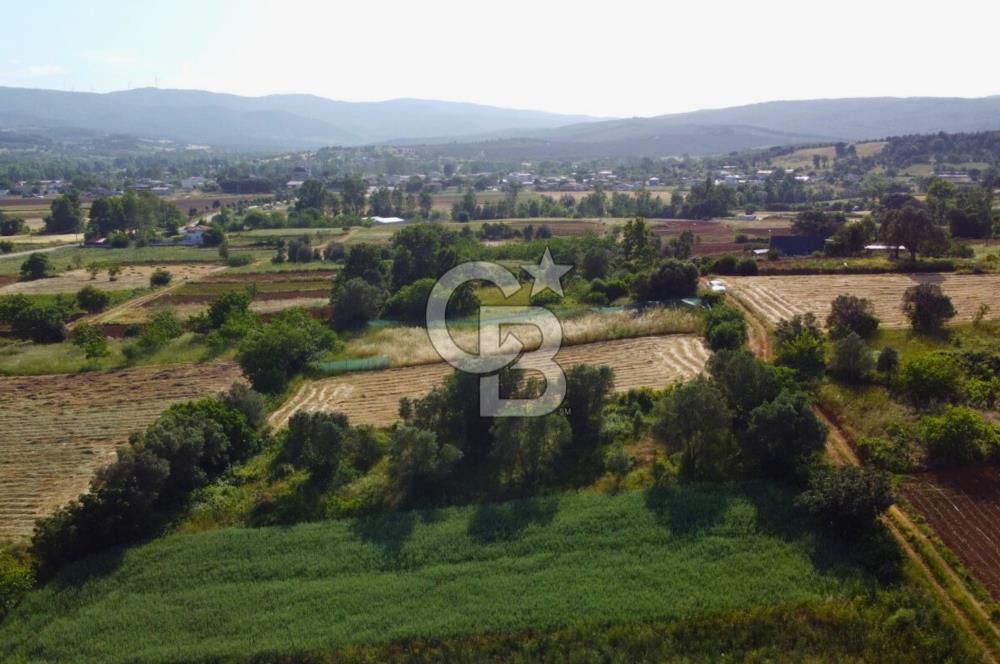 Çanakkale Lapseki Dışbudak Köyü 983 m² Yolu Olan Satılık Tarla