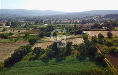 Çanakkale Lapseki Dışbudak Köyü 983 m² Yolu Olan Satılık Tarla
