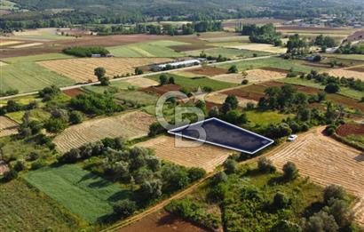 Çanakkale Lapseki Dışbudak Köyü 983 m² Yolu Olan Satılık Tarla