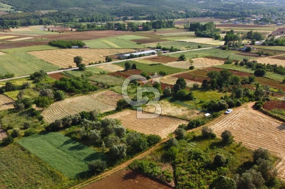 Çanakkale Lapseki Dışbudak Köyü 983 m² Yolu Olan Satılık Tarla