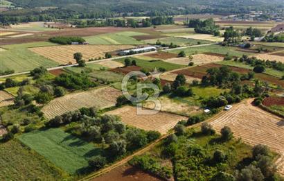 Çanakkale Lapseki Dışbudak Köyü 983 m² Yolu Olan Satılık Tarla