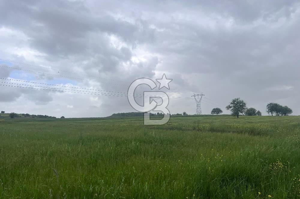 BALIKESİR KARESİ NAİPLİ'DE YOLA CEPHE, EMSALSİZ TARLA! 21.330 m2