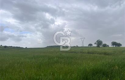BALIKESİR KARESİ NAİPLİ'DE YOLA CEPHE, EMSALSİZ TARLA! 21.330 m2