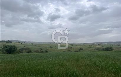 BALIKESİR KARESİ KALAYCILAR'DA SATILIK TARLA..! 11.609 m2