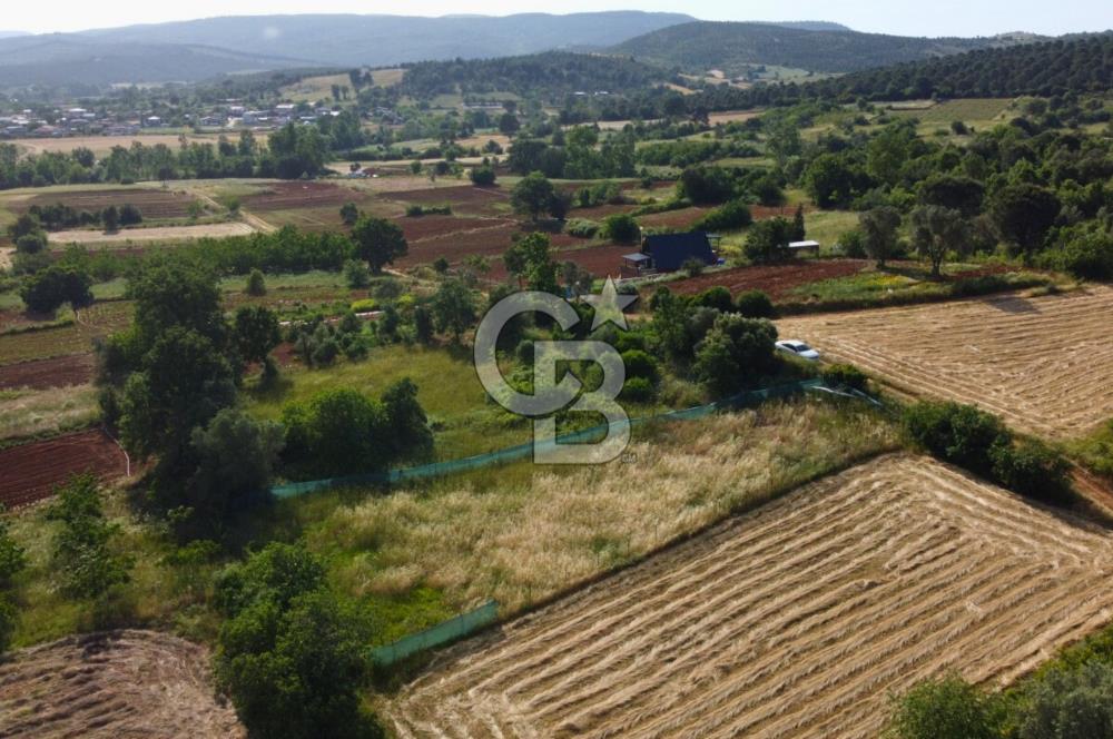Çanakkale Lapseki Dışbudak Köyü 983 m² Yolu Olan Satılık Tarla