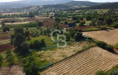 Çanakkale Lapseki Dışbudak Köyü 983 m² Yolu Olan Satılık Tarla