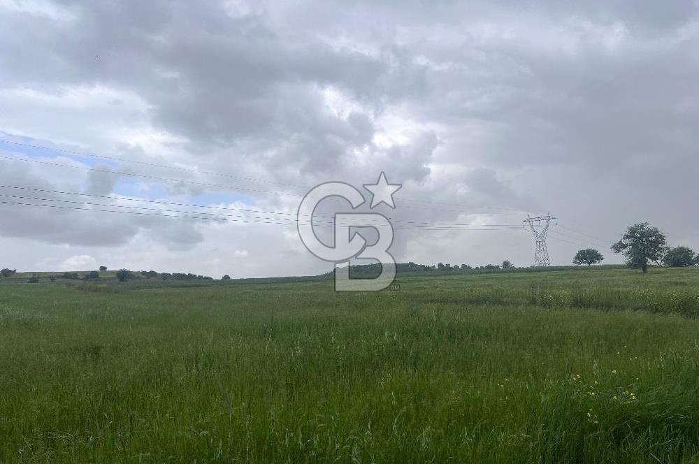 BALIKESİR KARESİ NAİPLİ'DE YOLA CEPHE, EMSALSİZ TARLA! 21.330 m2