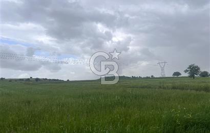 BALIKESİR KARESİ NAİPLİ'DE YOLA CEPHE, EMSALSİZ TARLA! 21.330 m2