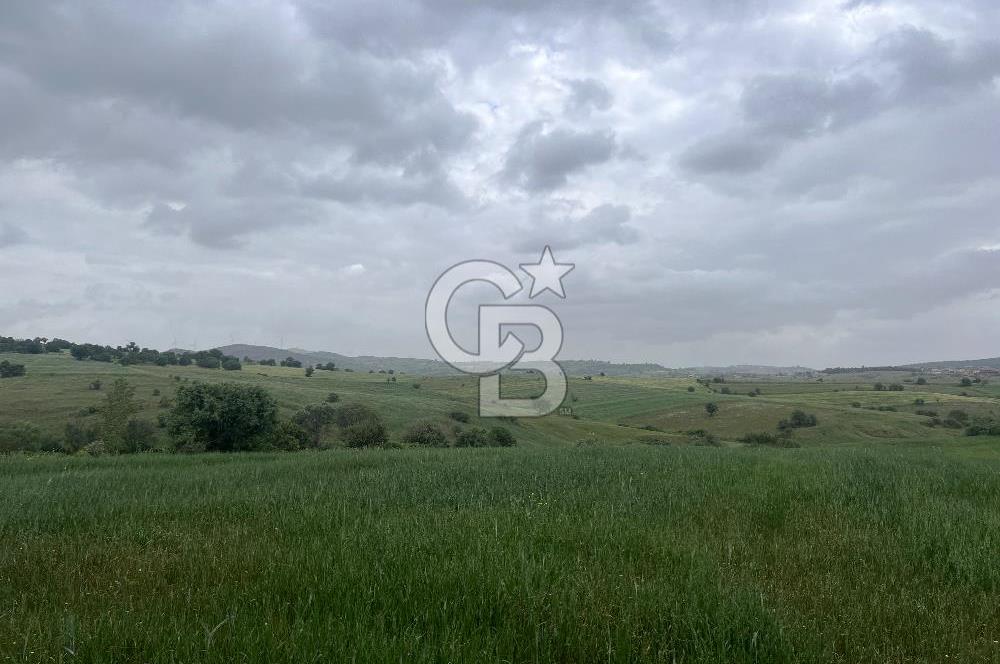 BALIKESİR KARESİ KALAYCILAR'DA SATILIK TARLA..! 11.609 m2