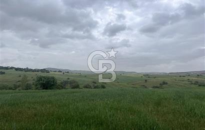 BALIKESİR KARESİ KALAYCILAR'DA SATILIK TARLA..! 11.609 m2