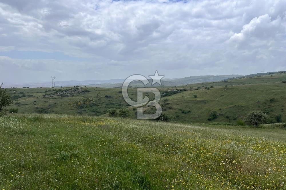BALIKESİR KARESİ KÖTEYLİ'DE SATILIK TARLA...! 14.901 m2