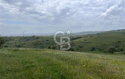 BALIKESİR KARESİ KÖTEYLİ'DE SATILIK TARLA...! 14.901 m2