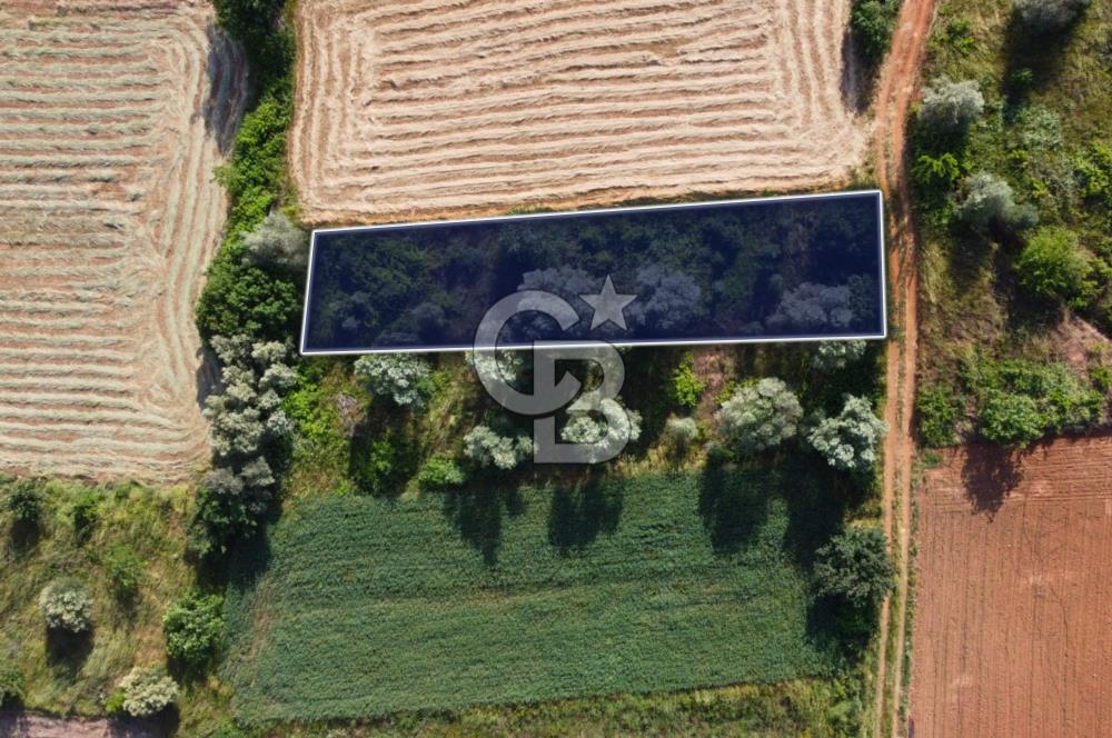 Çanakkale Lapseki Dışbudak Köyü 524 m² Yolu Olan Satılık Tarla