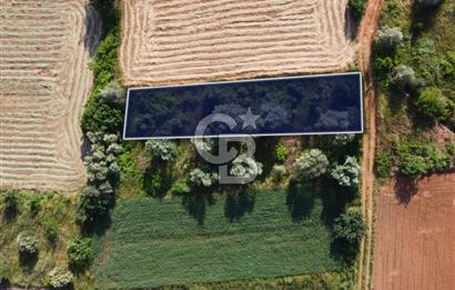 Çanakkale Lapseki Dışbudak Köyü 524 m² Yolu Olan Satılık Tarla