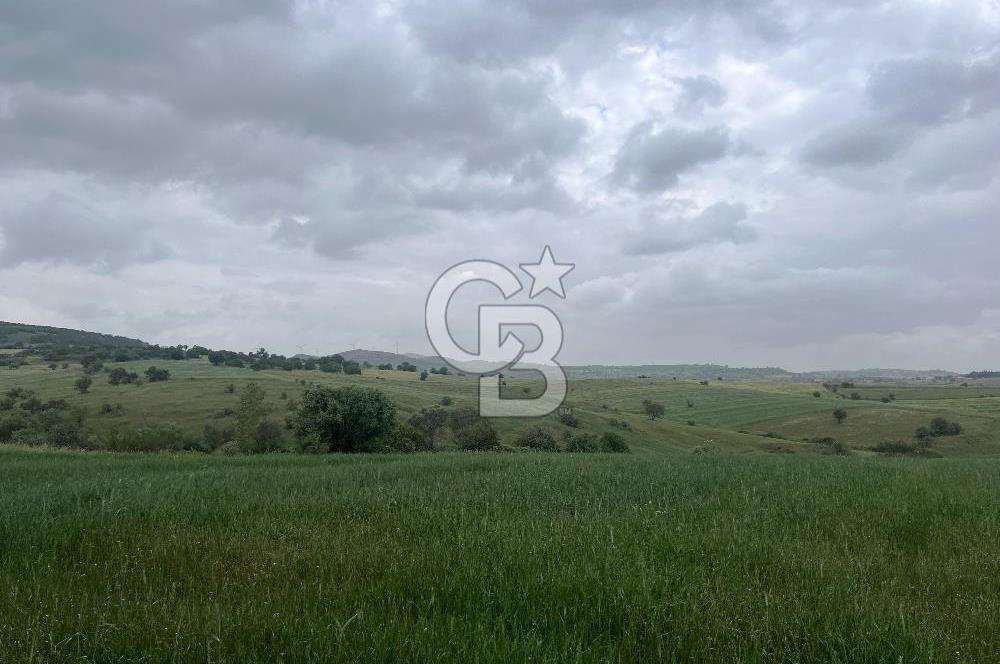BALIKESİR KARESİ KALAYCILAR'DA SATILIK TARLA..! 11.609 m2