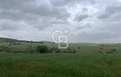 BALIKESİR KARESİ KALAYCILAR'DA SATILIK TARLA..! 11.609 m2