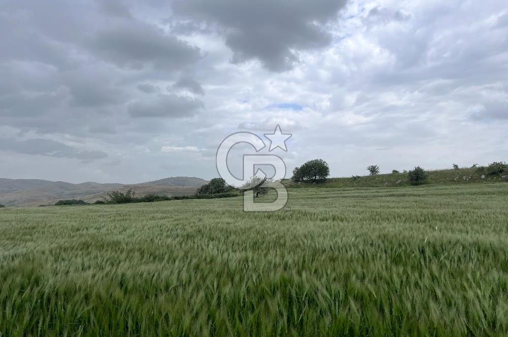 BALIKESİR KARESİ KÖTEYLİ'DE SATILIK TARLA..! 6.344 m2