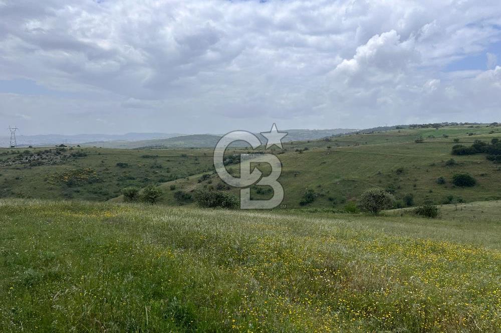 BALIKESİR KARESİ KÖTEYLİ'DE SATILIK TARLA...! 14.901 m2