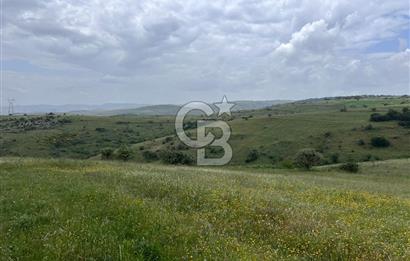 BALIKESİR KARESİ KÖTEYLİ'DE SATILIK TARLA...! 14.901 m2