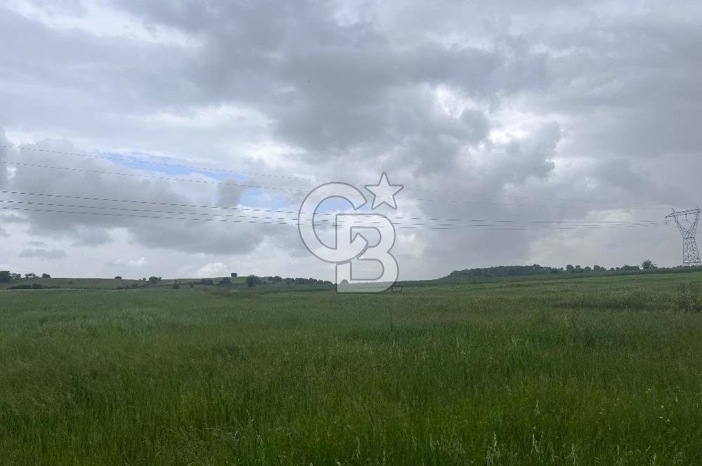 BALIKESİR KARESİ NAİPLİ'DE YOLA CEPHE, EMSALSİZ TARLA! 21.330 m2