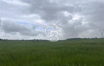 BALIKESİR KARESİ NAİPLİ'DE YOLA CEPHE, EMSALSİZ TARLA! 21.330 m2