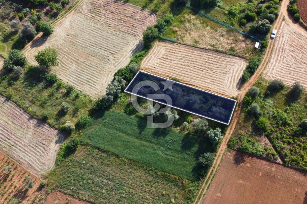 Çanakkale Lapseki Dışbudak Köyü 524 m² Yolu Olan Satılık Tarla