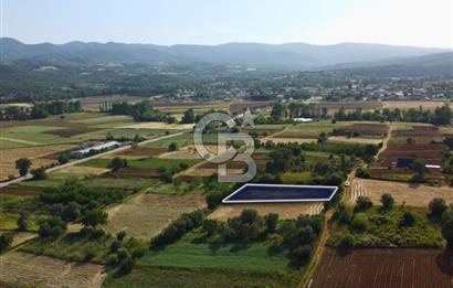 Çanakkale Lapseki Dışbudak Köyü 983 m² Yolu Olan Satılık Tarla