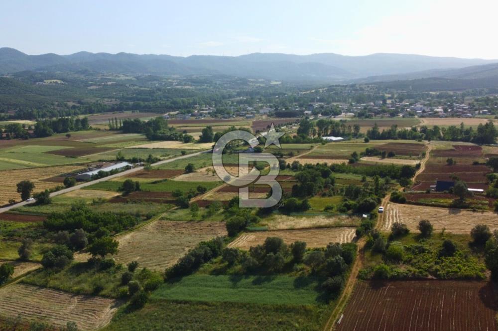 Çanakkale Lapseki Dışbudak Köyü 983 m² Yolu Olan Satılık Tarla
