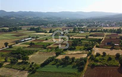 Çanakkale Lapseki Dışbudak Köyü 983 m² Yolu Olan Satılık Tarla