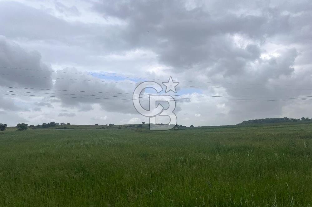 BALIKESİR KARESİ NAİPLİ'DE YOLA CEPHE, EMSALSİZ TARLA! 21.330 m2