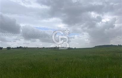 BALIKESİR KARESİ NAİPLİ'DE YOLA CEPHE, EMSALSİZ TARLA! 21.330 m2