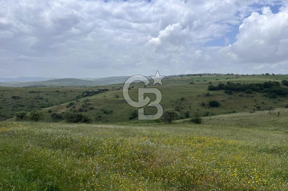 BALIKESİR KARESİ KÖTEYLİ'DE SATILIK TARLA...! 14.901 m2