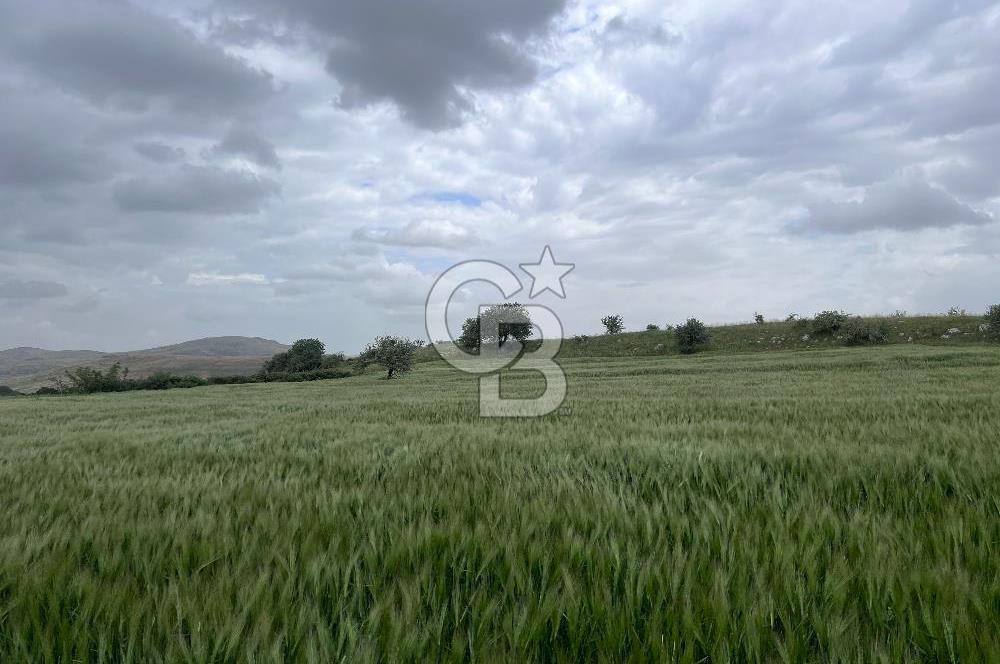 BALIKESİR KARESİ KÖTEYLİ'DE SATILIK TARLA..! 6.344 m2