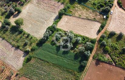 Çanakkale Lapseki Dışbudak Köyü 524 m² Yolu Olan Satılık Tarla