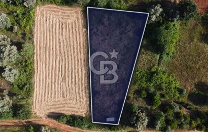 Çanakkale Lapseki Dışbudak Köyü 983 m² Yolu Olan Satılık Tarla