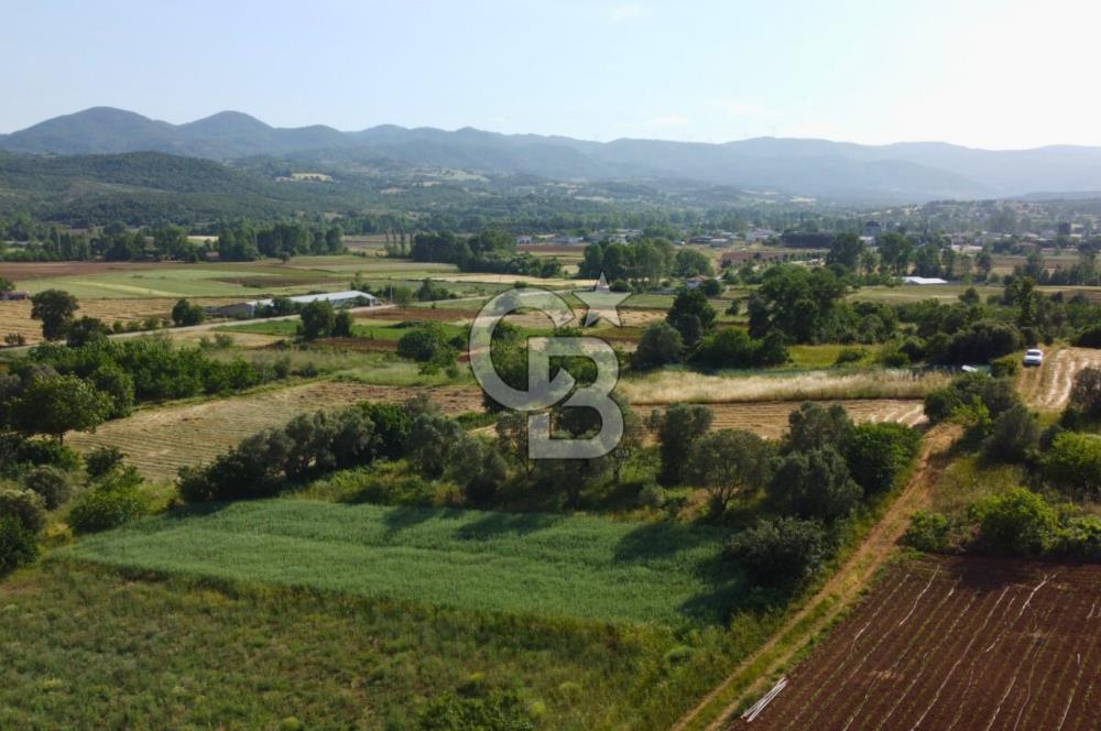 Çanakkale Lapseki Dışbudak Köyü 524 m² Yolu Olan Satılık Tarla