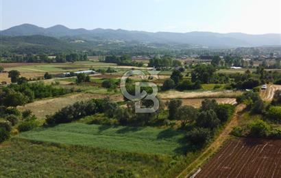 Çanakkale Lapseki Dışbudak Köyü 524 m² Yolu Olan Satılık Tarla
