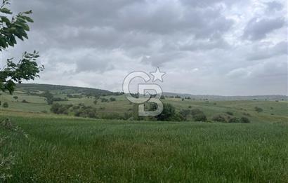 BALIKESİR KARESİ KALAYCILAR'DA SATILIK TARLA..! 11.609 m2